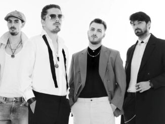 Trupa Dl. Goe cântă la Iași la RCW. FOTO