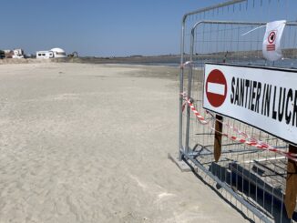 Plaja Mamaia, șantier în lucru. FOTO Adrian Boioglu